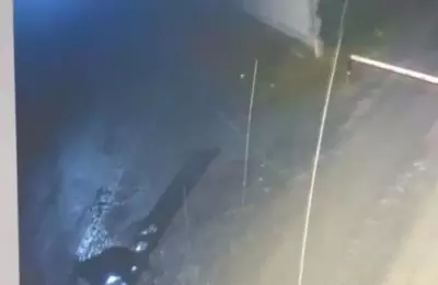 Проходил у проходной